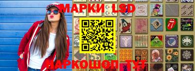 гидропоника Бийск