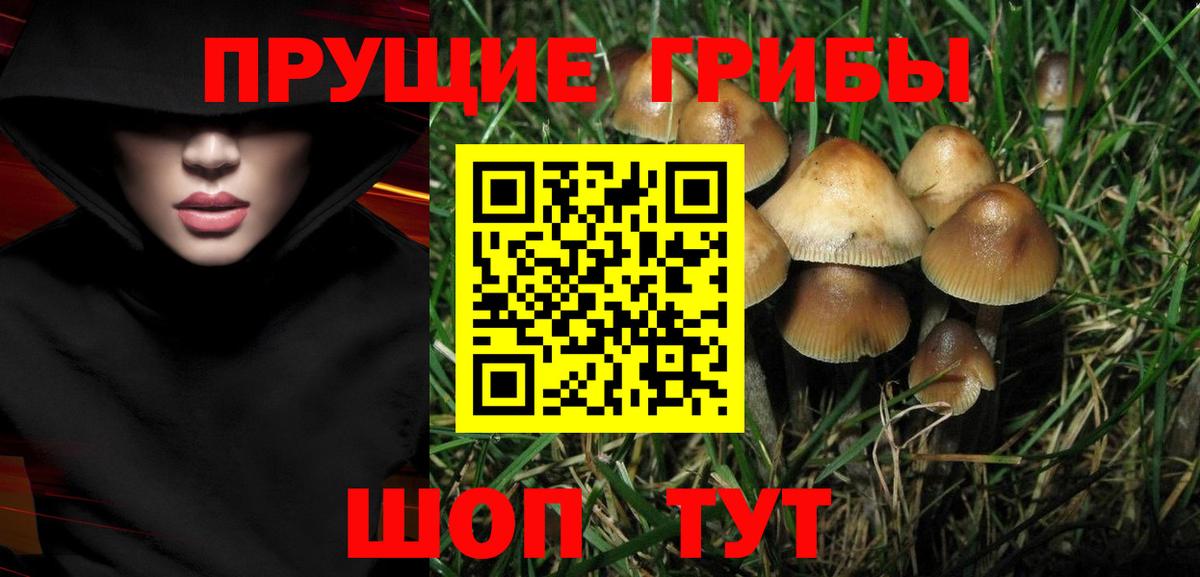 Псилоцибиновые грибы Magic Shrooms  Димитровград 