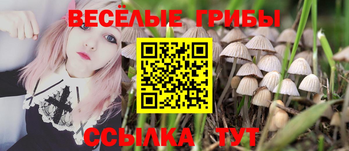 Димитровград  Псилоцибиновые грибы Magic Shrooms  Вход с VPN  Псилоцибиновые грибы ЛСД 