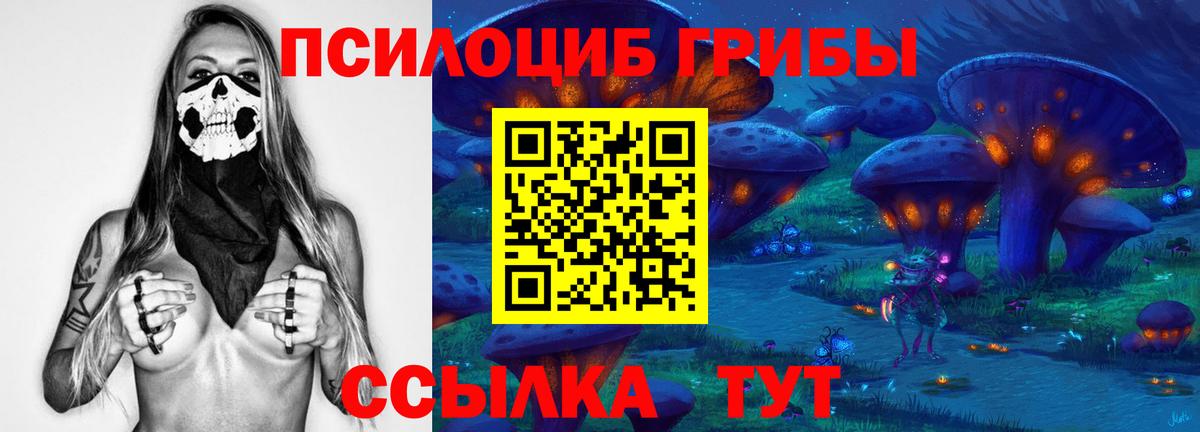 Галлюциногенные грибы Magic Shrooms Димитровград